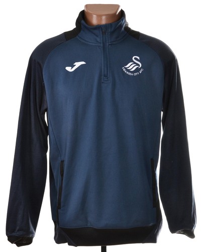 Swansea city 2016 - swansea,