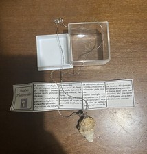 Collana di vera conchiglia