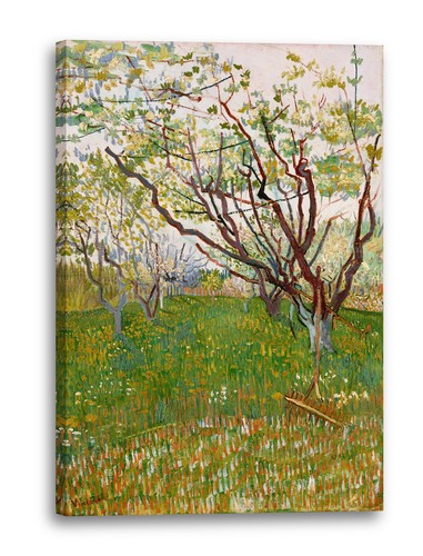 Tela cornice vincent - vincent, gogh