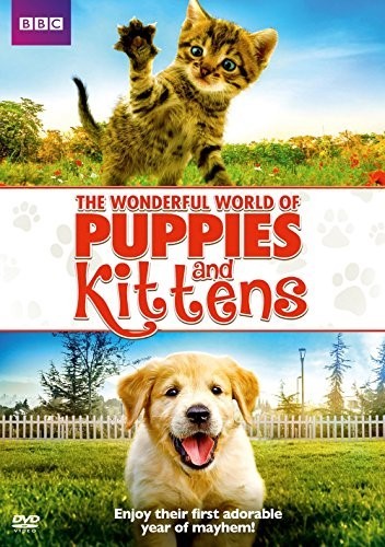 The wonderful world puppies - wonderful,