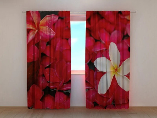 Tende fiori scarlatti - tende,
