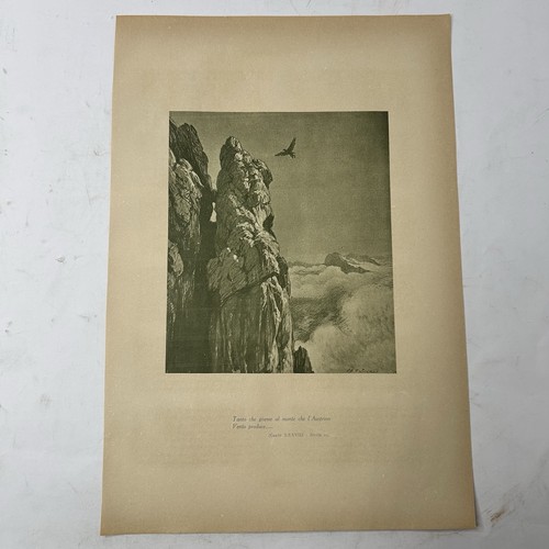 Stampa orlando furioso - stampa,