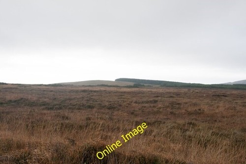 Photo 6x4 looking across - looking,