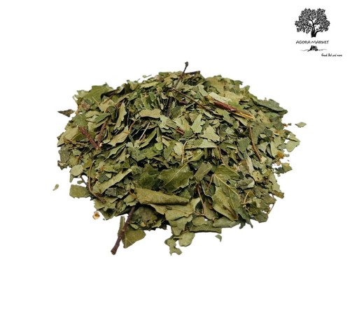 Foglie betulla argento - foglie,