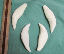 Set di massicci leoni africani
