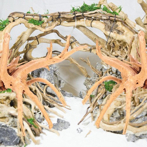 Pezzi decorazione driftwood - 2,