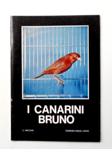 Canarini - i,