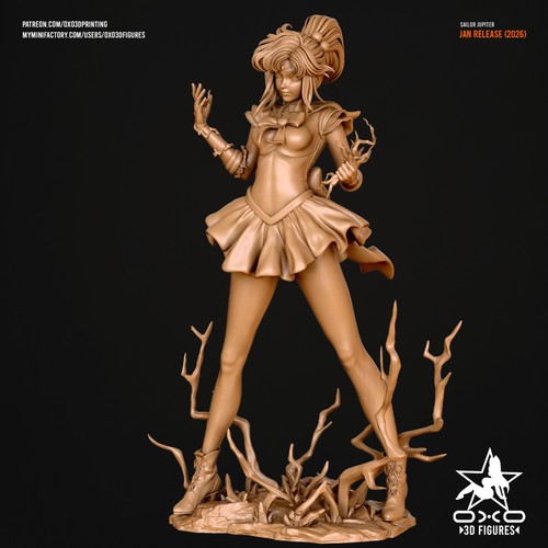 Sailor jupiter - -,