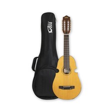 10 String Electric Acoustic