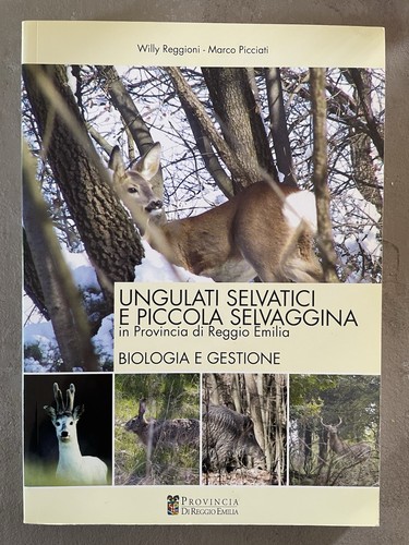 Ungulati selvatici piccola - selvatici,