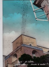 RENDE: Al Castello - Edificio Scolastico  - Adunata di rondini