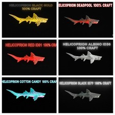 Helicoprion Babies 100%