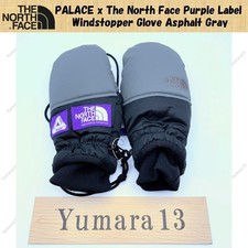 Guanto Windstopper PALACE x