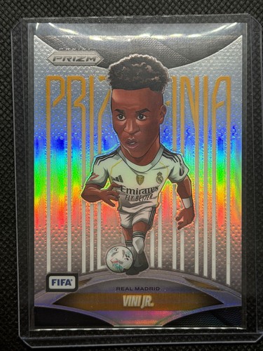 2025 custodia panini prizm - custodia,