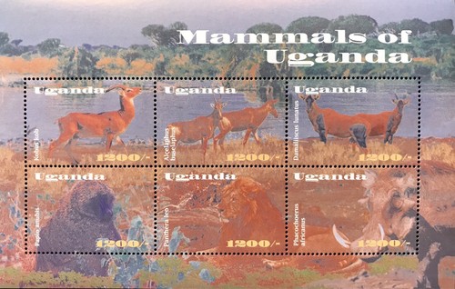 Uganda mammiferi foglio - mammiferi,