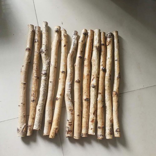1pz ramo albero - di,