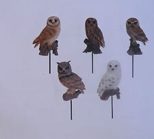 Animali da Giardino Gufi in