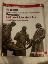Performer culture and - culture,