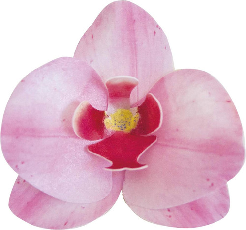 Conf orchidee in cialda - conf., 10