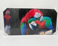 QUADRO CANVAS STAMPA SU TELA  ALTA DEFINIZIONE PAPPAGALLO 40X80 CM TELAIO LEGNO