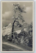 50646243 - St. Moritz Piz