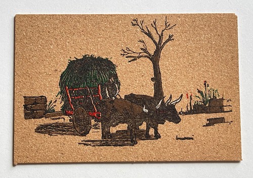Sardegna carro buoi - buoi,