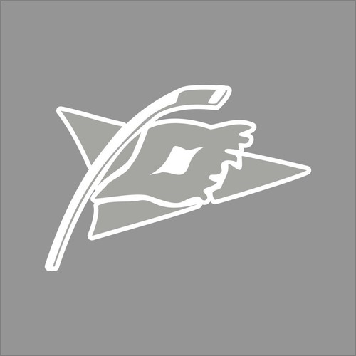 Adesivo carolina hurricanes - adesivo,