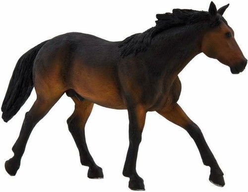 Mojo animali cavalli horses - mojo,