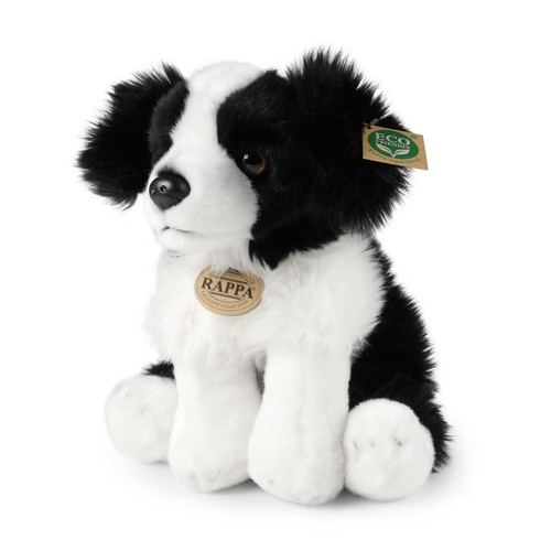 Border collie seduto - border,