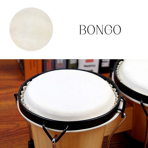 Testa per batteria bongo cm - testa,