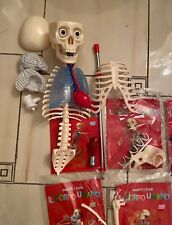 Divertiti e scopri il Corpo