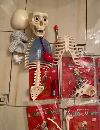 Divertiti scopri corpo - e,