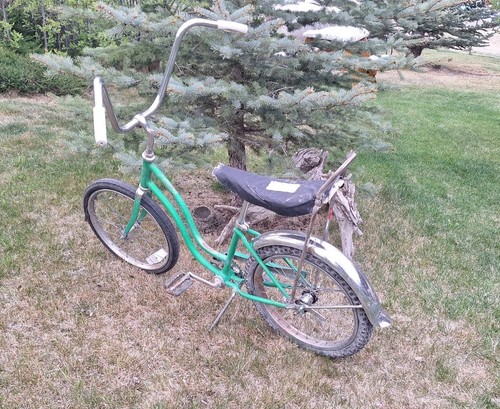Schwinn stingray deluxe muscle - stingray,