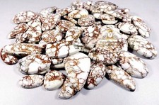 Certified Natural 1000 Ct Wild