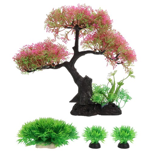 Set kit de plante - 1,