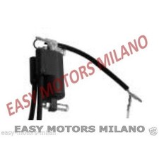 BOBINA DOPPIA ACCENSIONE 12V