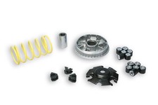 VARIATORE MALOSSI 5113134