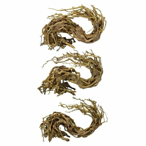 Superfish bonsai onda albero - superfish,