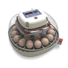 Incubatrice per uova 360 grado
