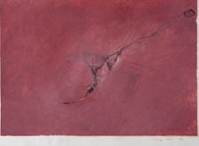 Salvatore Pupillo-RM56-tecnica