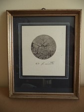 Ercole Sibilla piccola acquaforte "Serale" diametro 8 esemplare 6/20 con cornice