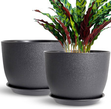 30CM Set Di 2 Vasi per Fiori
