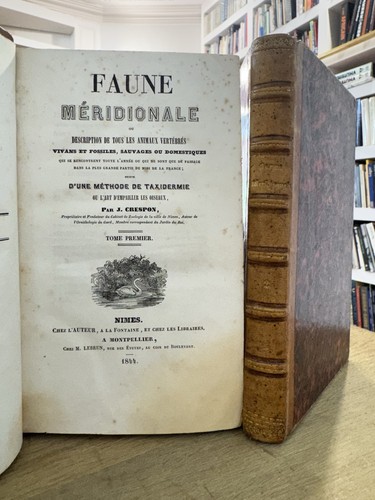 Faune méridionale crespon - faune,