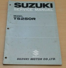 Suzuki TS 250 R Motor Elektrik