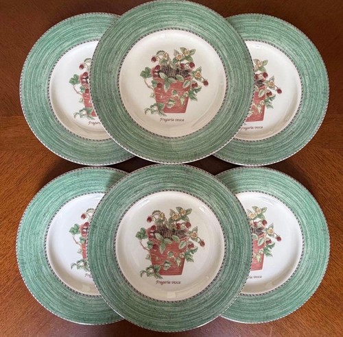 Wedgwood sarah garden - sarah's,