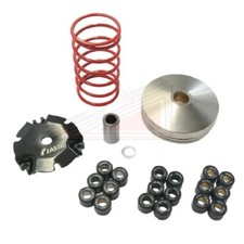 Complete Variator Malaguti F12