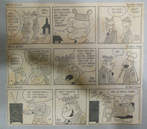 Dailies beetle bailey - (312), bailey"