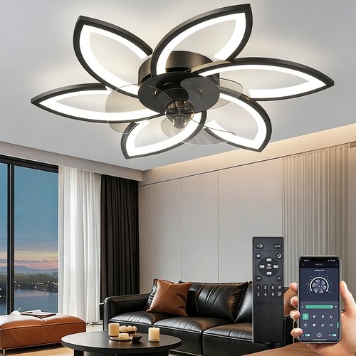 Entilatore soffitto - entilatore, da