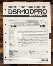 Yamaha DSR-100PRO Surround
