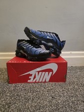 Nike Air Max Plus TN GS 'Royal